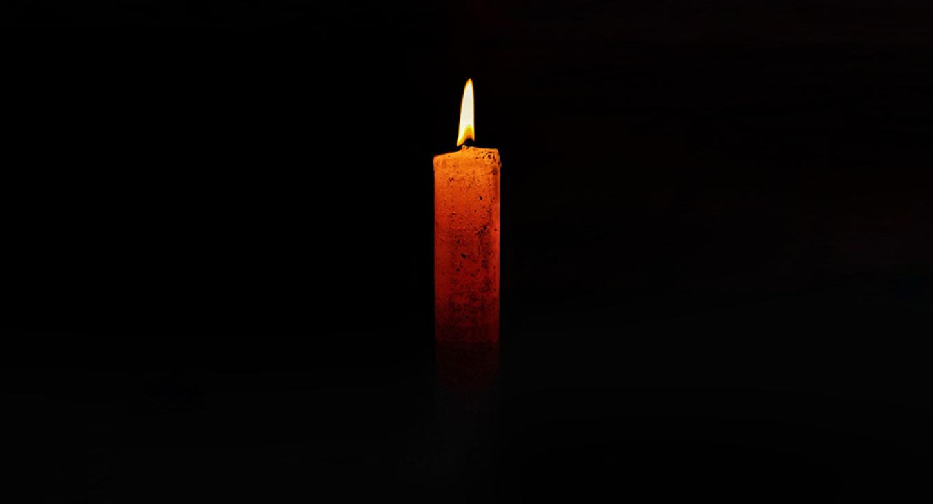 Meghalt egy favágó, akire rádőlt egy fa Somogyban