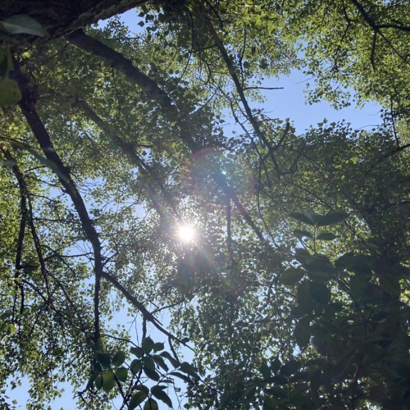 Az átlagosnál hűvösebb idő lesz, de legalább átveszi a főszerepet a napsütés