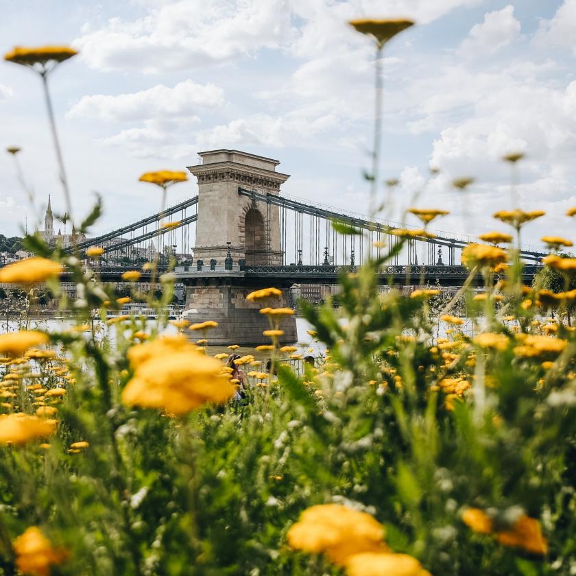 Első Budapesti Lakógyűlés: 136 ezer töltötte ki a konzultációt