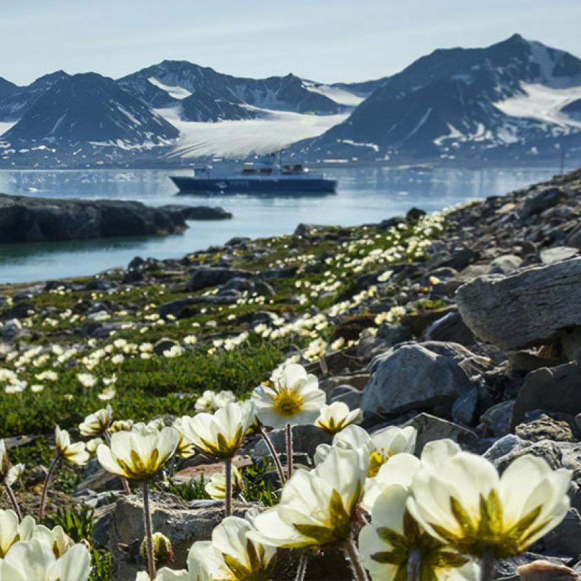 Már túl késő megmenteni az Északi-sarkvidéket