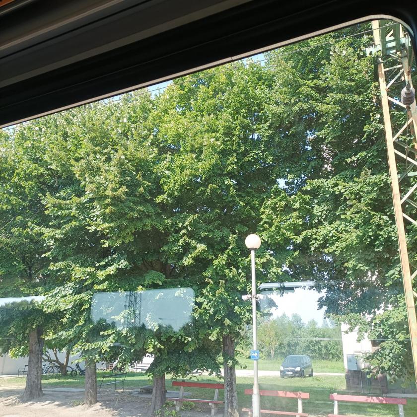 A múlt héten az indiaiak leszálltak a Hold túlsó oldalán