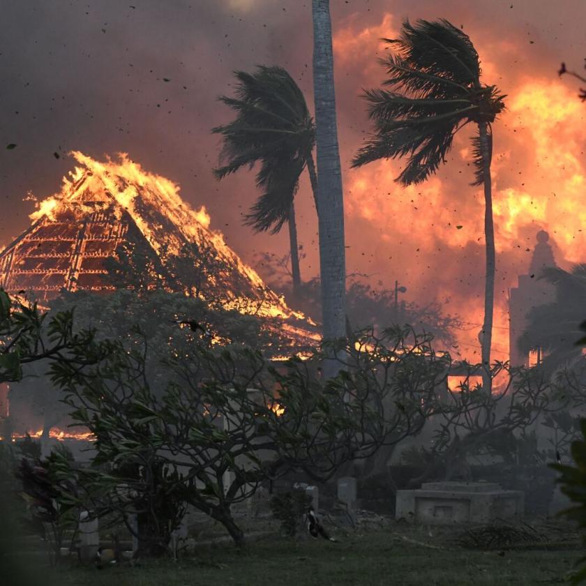 Senki sem tudja pontosan, hogy hányan haltak meg Hawaii-on