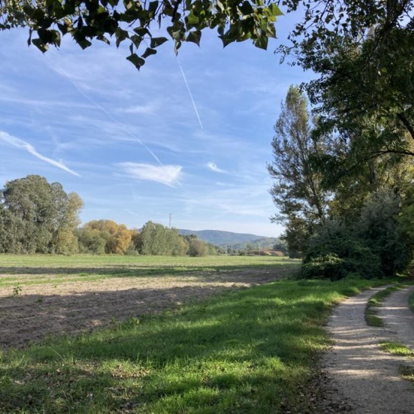 Pénteken is az ilyenkor szokásosnál kellemesebb és melegebb idő lesz