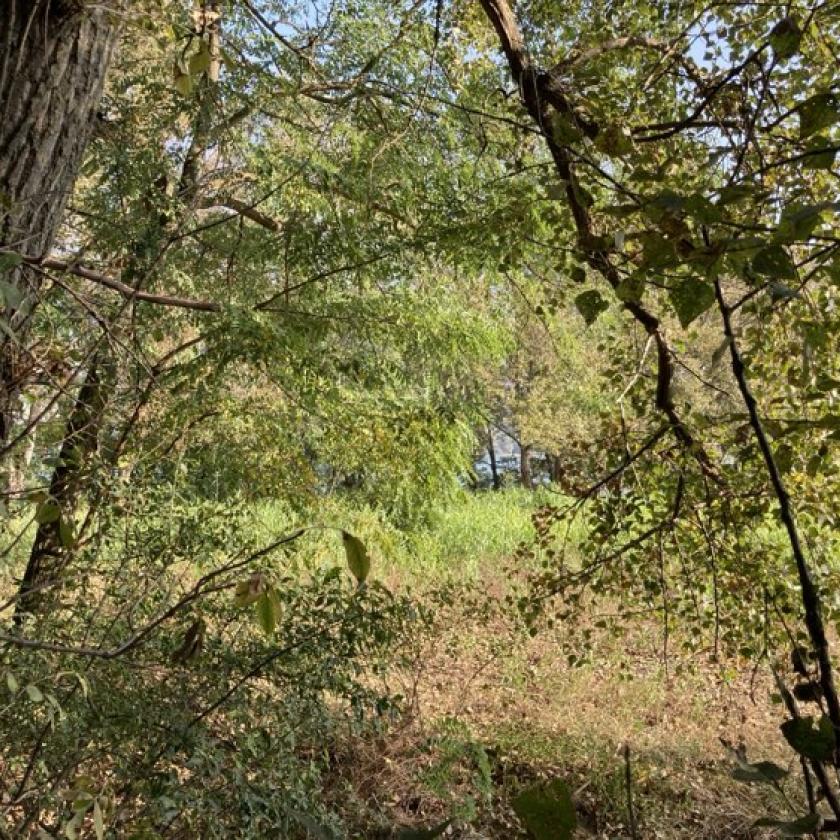 Csípős reggelből, nyugodt őszies idő