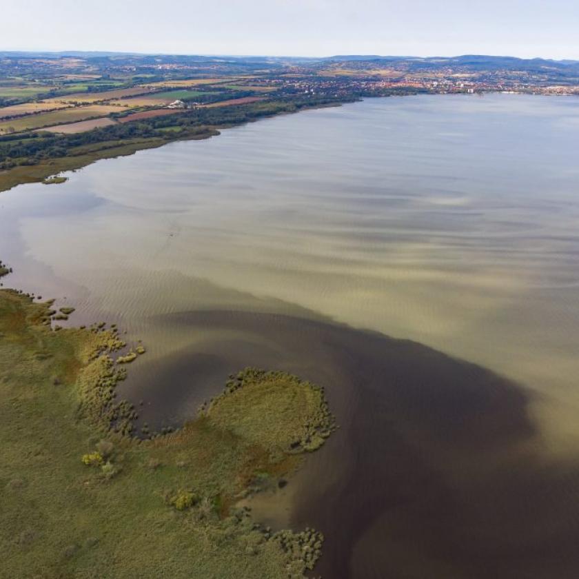 A pacsirták fele eltűnt, a tujáknak befellegzett, de már itt a kaktusz és a tigrisszúnyog