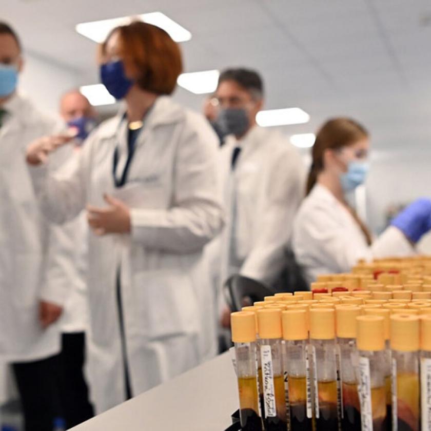 Megbukott a nemzeti laborcég terve