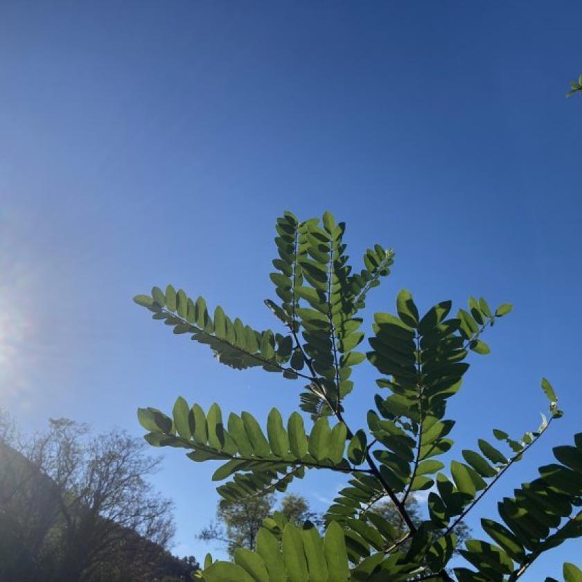 Napos idővel indul a hét