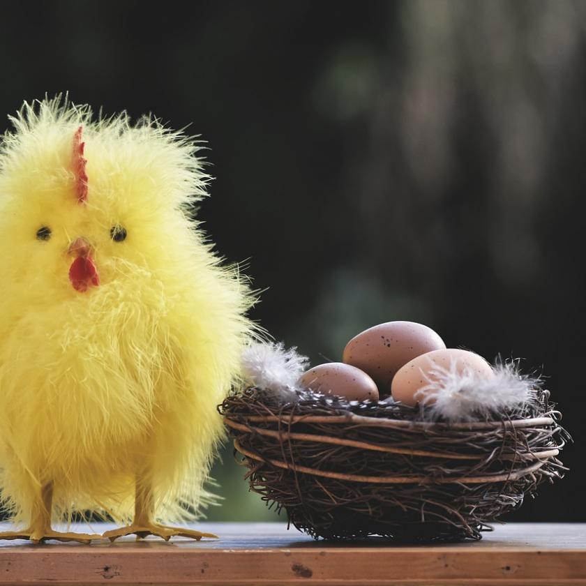 Megoldódott az ősi rejtély