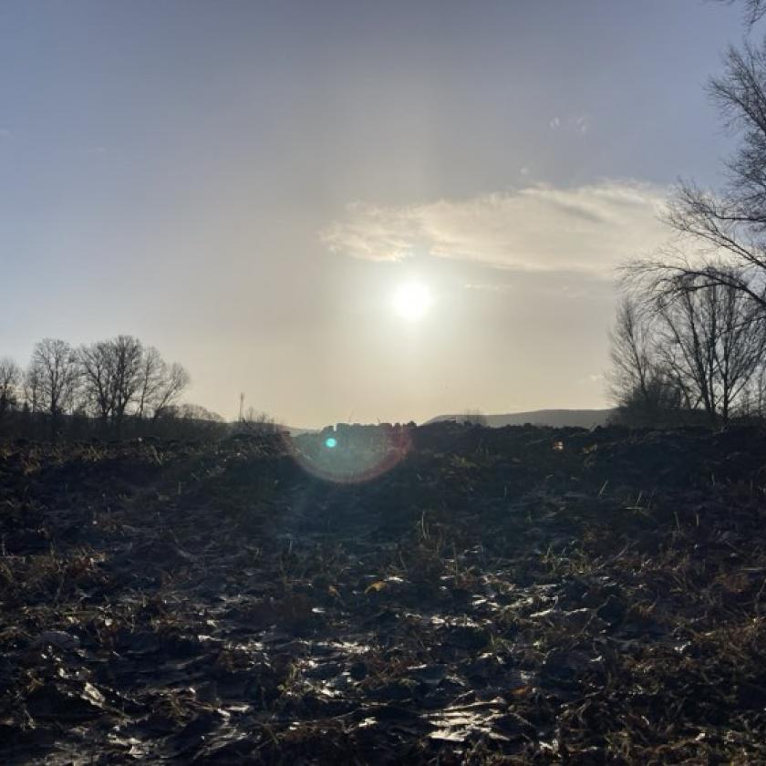 Bekopog a tavasz karácsonyra