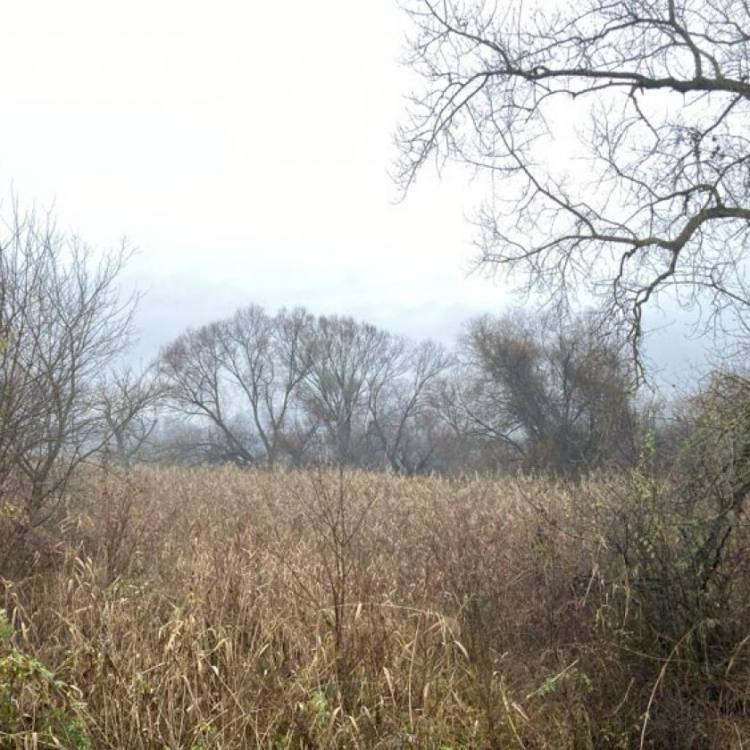 Sokfelé élénk, erős lesz az északi-északnyugati szél