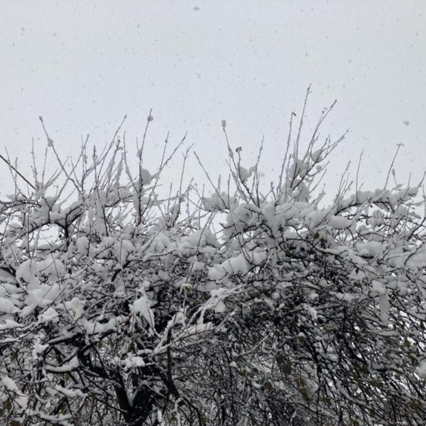 Eléggé kellemetlen idő lesz ma