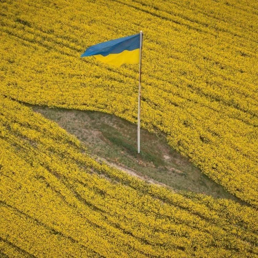 Kimondták: van, amiben nem tud versenyezni a magyar áru az ukránnal 