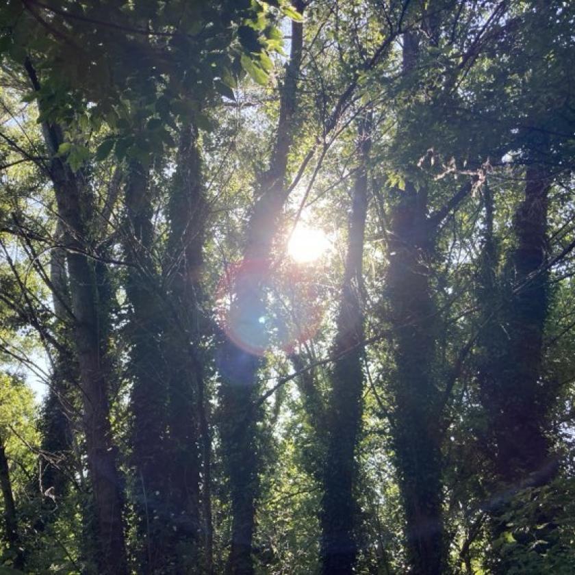 Jó idő lesz, sok napsütéssel