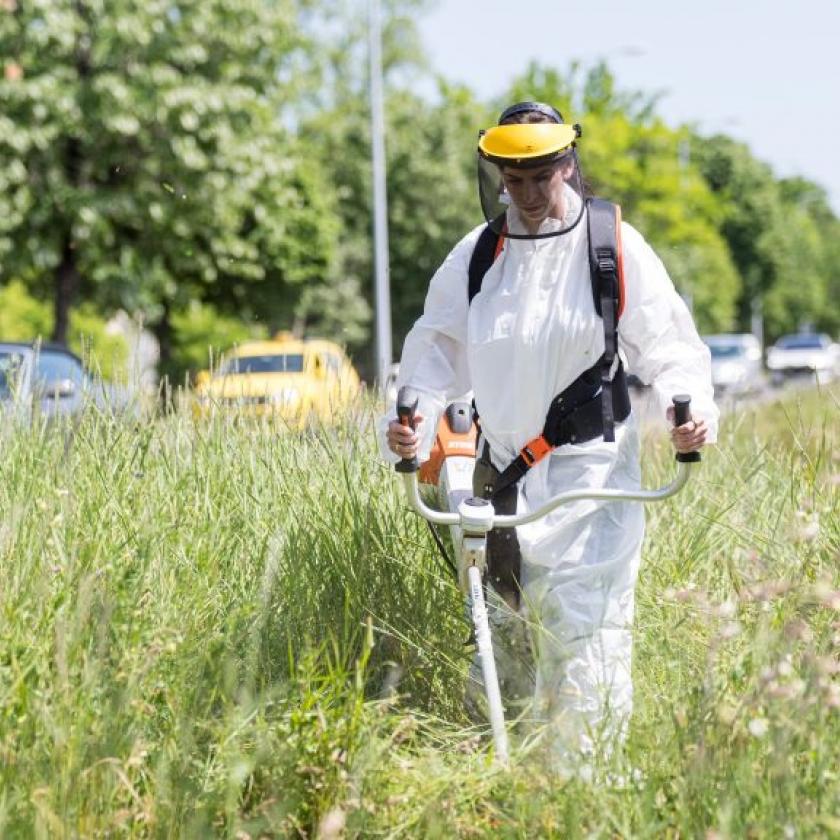 A honvédelmi miniszter felesége kampánykaszált egy méhlegelőn