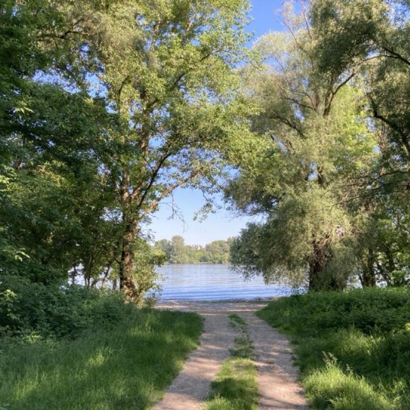 Napos idő gomolyfelhőkkel, futó záporokkal