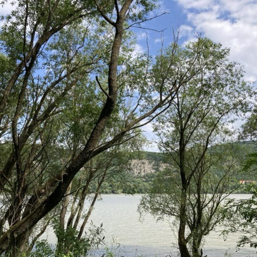 Nyárias idővel indul a hét, néhol egy-egy záporral