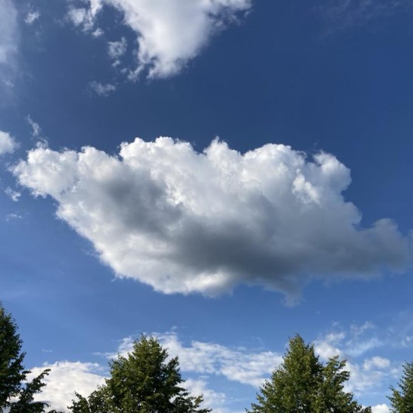 Kora nyári, fülledt idő