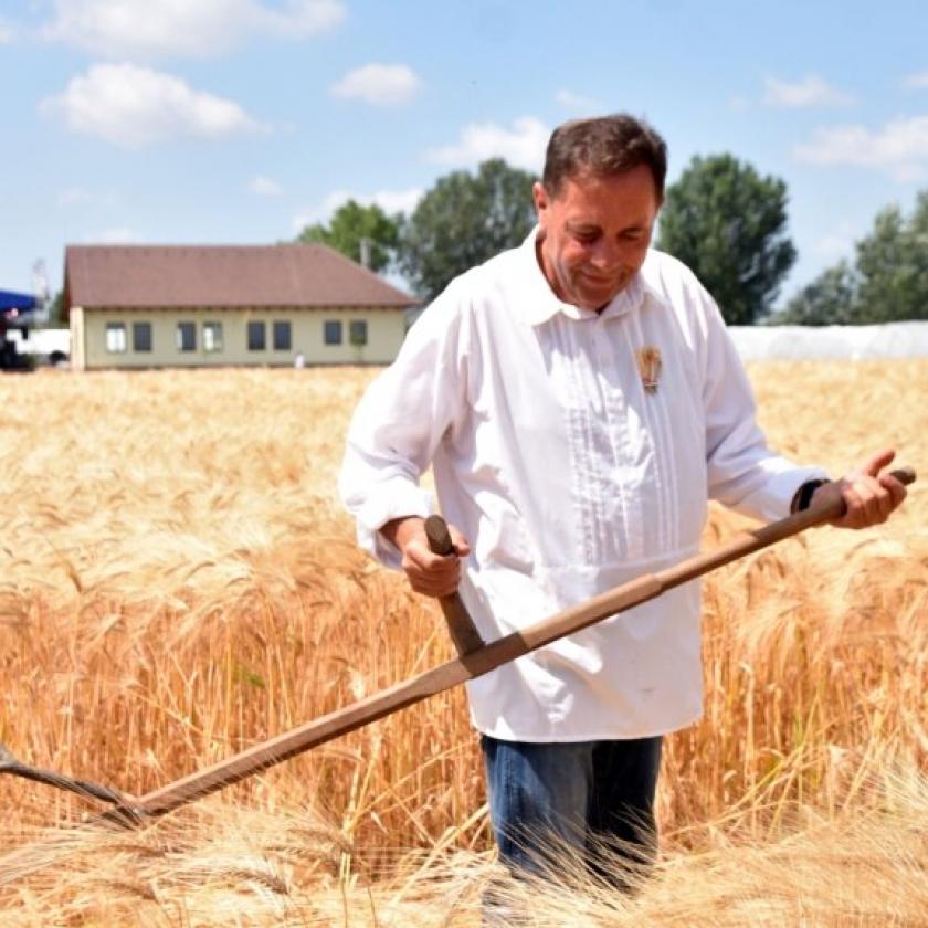 Szavazási segédletben magyarázza el a jászapáti Fidesz, hogyan kell rá voksolni az önkormányzati választáson 