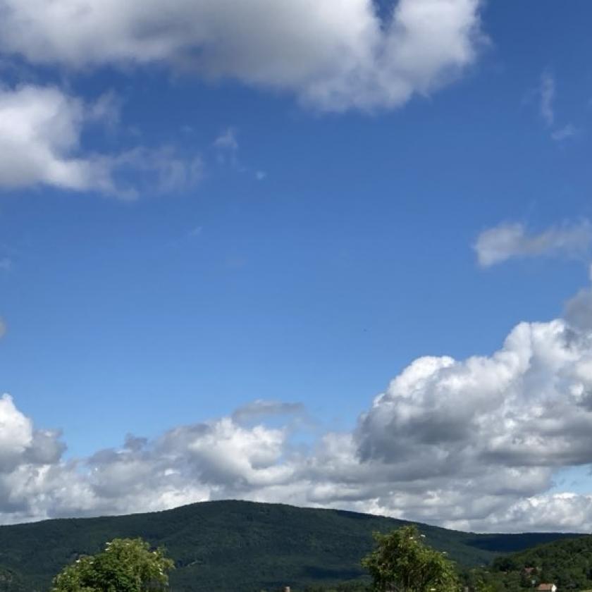 Ma bemutatót tart a nyár