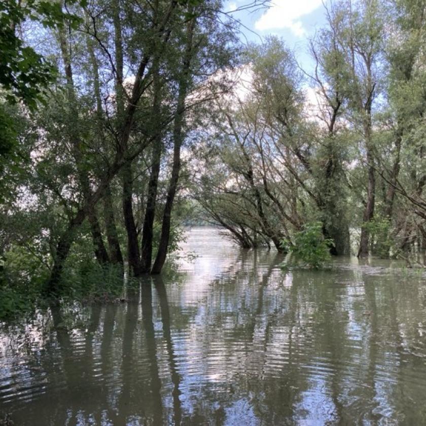 Többfelé várható zápor, zivatar