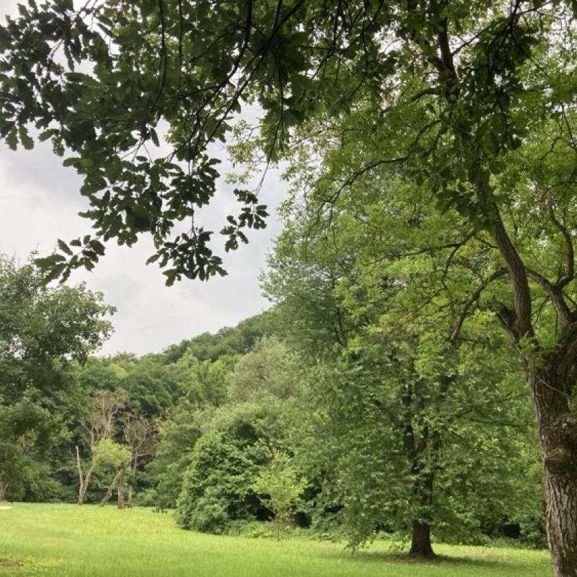 Záporral, zivatarral indít a nyár