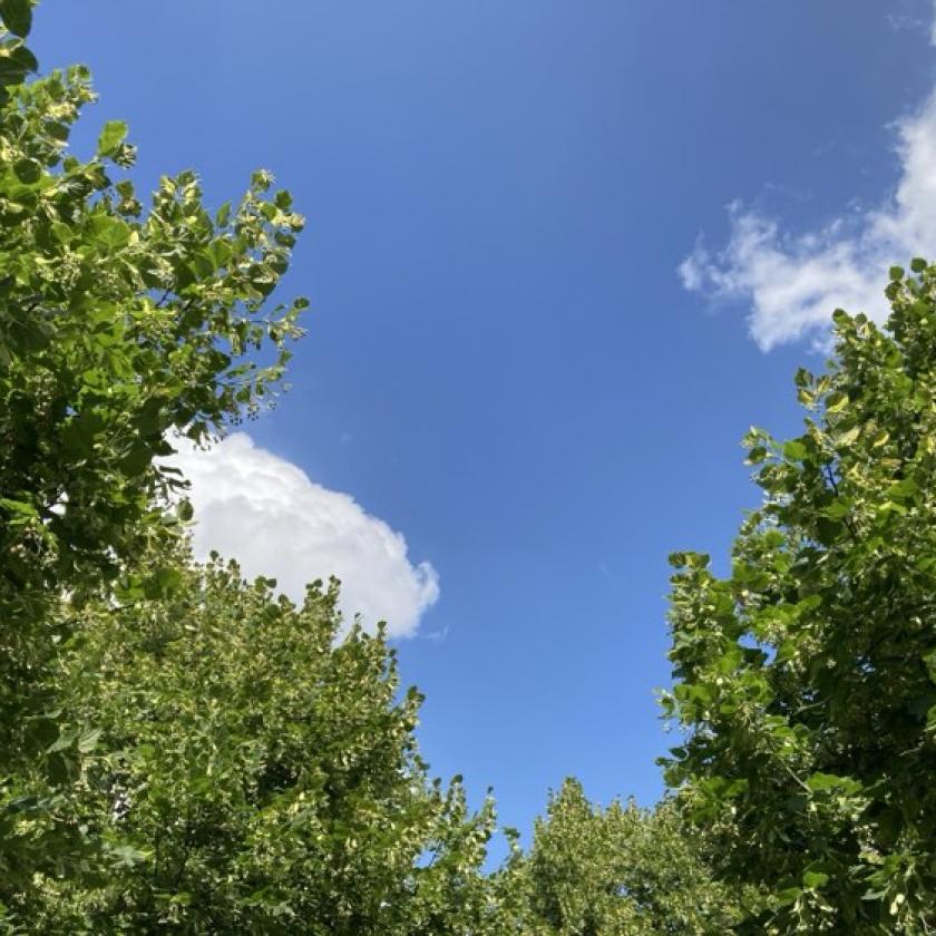 Kialakulhat néhol egy zápor, a nyári melegben