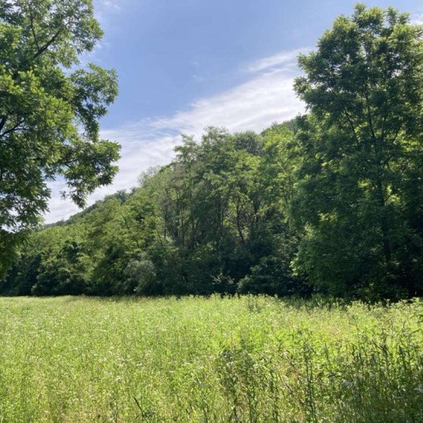 Változékony, záporokkal, zivatarokkal tarkított időjárásban lesz részünk