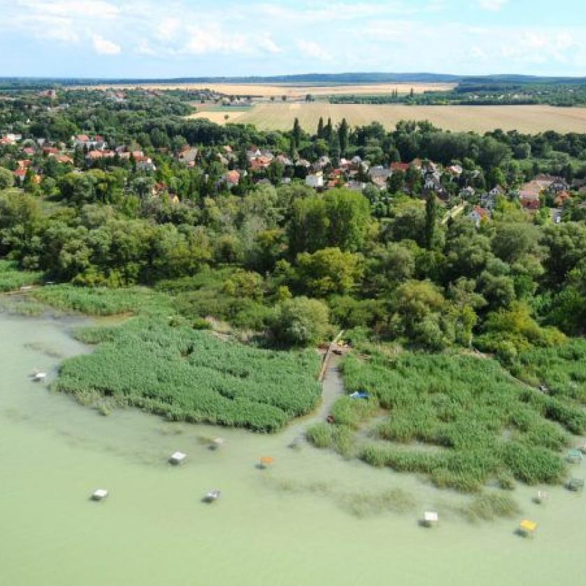 Hajmeresztő dolog zajlik a Balatonnál