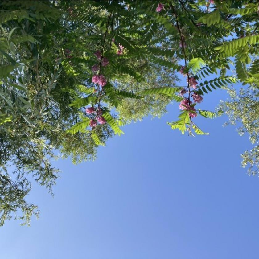 Országszerte visszatér a kánikula