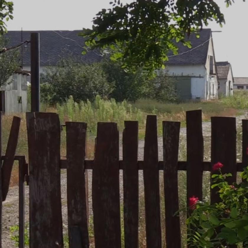 Magzatkárosító és rákkeltő hulladékot találtak Nógrádban, pár száz méterre az otthonoktól