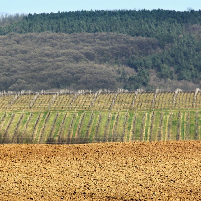 A magyar agrárbárók átlagos birtokmérete tízszer nagyobb, mint az uniós átlag