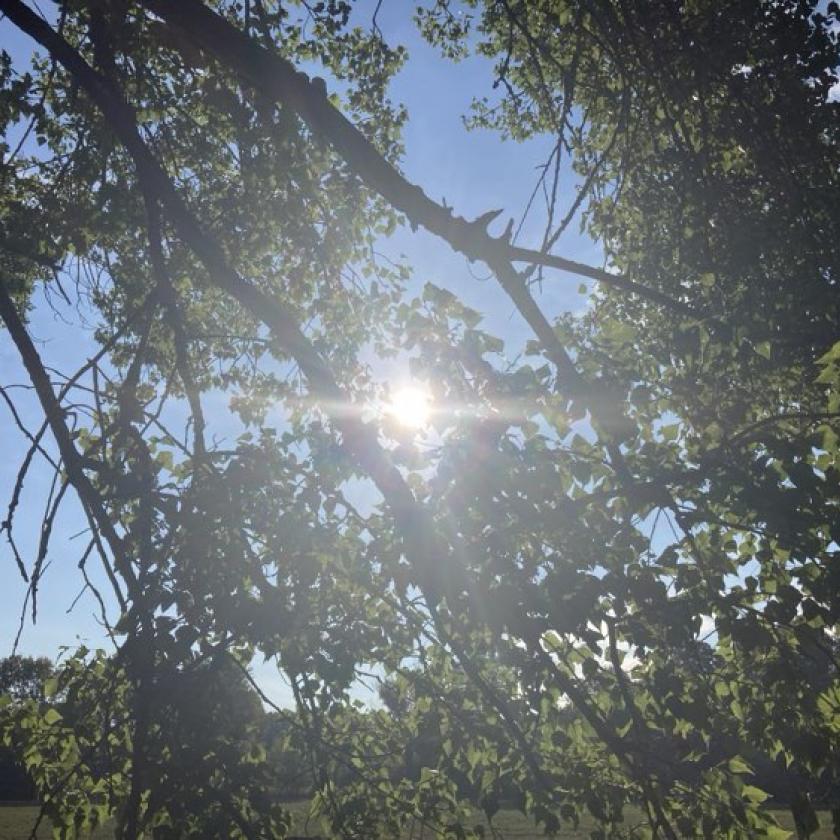 Forró lesz a mai nap is