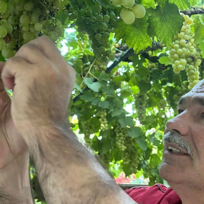 Bemondta a válságot a magyar agrárminiszter, már a bőrünkön érezzük 