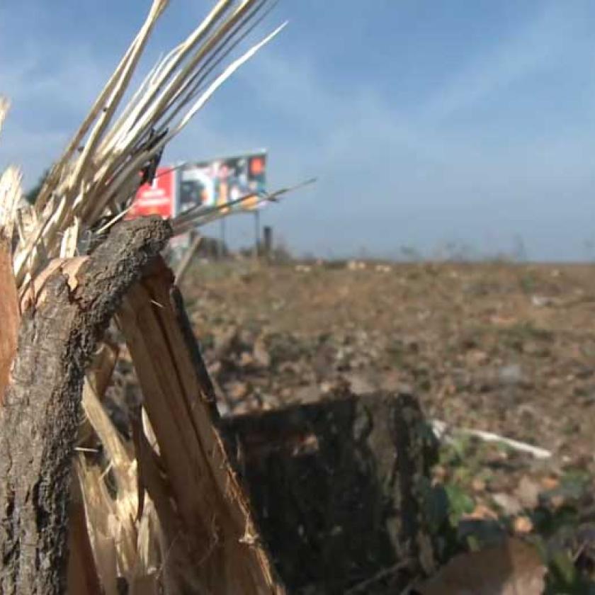 Maglódon, a lakóházak közelében építhet gyárat egy dél-koreai cég