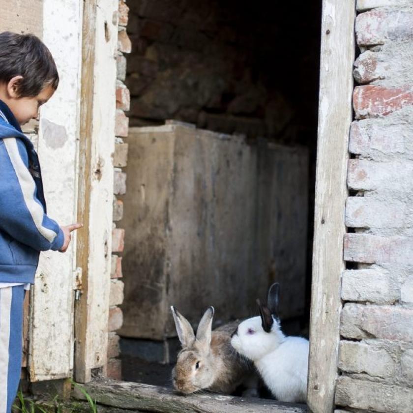 "Először az ágyat és a szekrényt adom el, aztán jön az uzsorakölcsön"