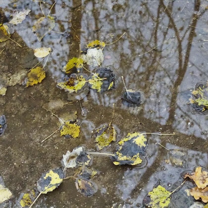 Változékonyra fordul az idő, záporok jönnek