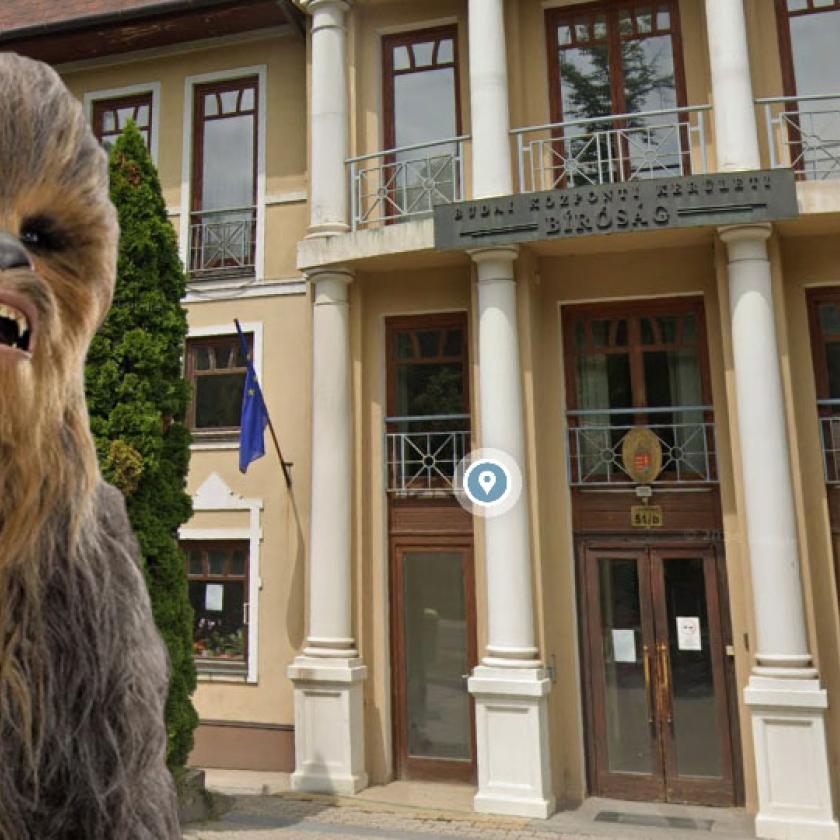 A Budai Központi Bíróság Kerület elnökeérthetetlen Chewbacca-védelmet alkalmaz