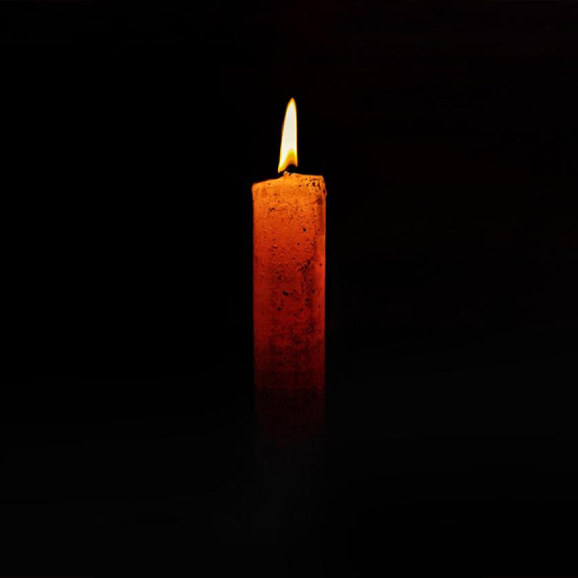 Meghalt egy favágó, akire rádőlt egy fa Somogyban