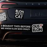 Musk-ellenes Tesla-tulajdonosokon gazdagodott meg egy férfi